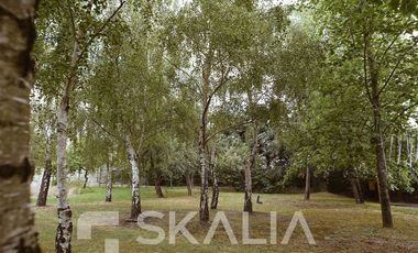 Terreno Construccion en Venta en Manquimavida