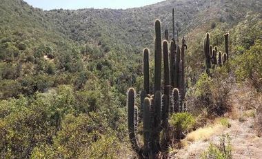 Parcela en Venta en CONDOMINIO LA AURORA, CURACAVÍ