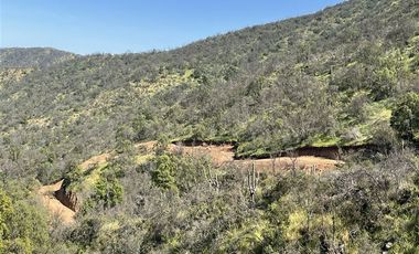 Agrícola en Venta en Condominio La Aurora de Curacaví