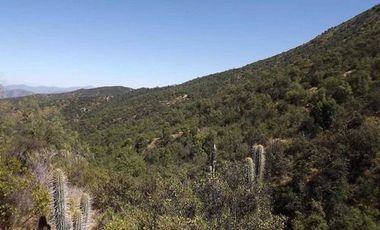 Agrícola en Venta en Condominio La Aurora de Curacaví