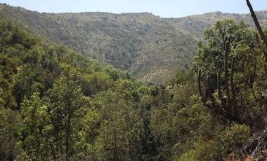 Agrícola en Venta en Condominio La Aurora de Curacaví