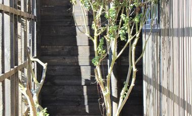 Casa en Venta en Condominio Altavista de Zapallar