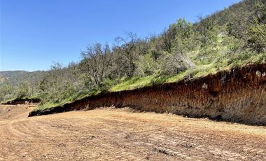 Sitio en Venta en La Aurora / las Chilcas
