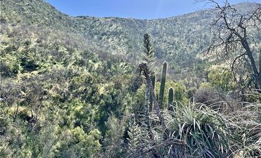 Sitio en Venta en La Aurora / las Chilcas