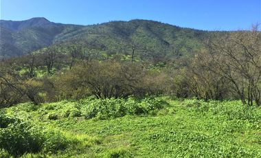 Sitio en Venta en Miraflores Alto, Curacaví