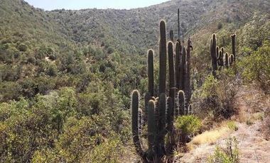 Parcela en Venta en La Aurora / las Chilcas