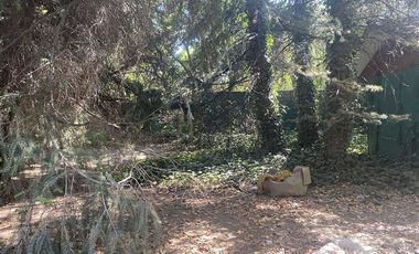 Sitio en Venta en Cam. El Alba-El Algarrobo