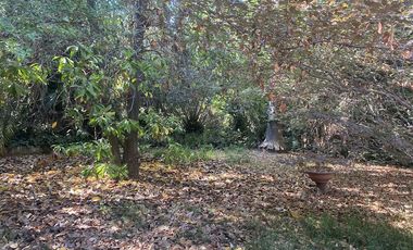 Sitio en Venta en Cam. El Alba-El Algarrobo