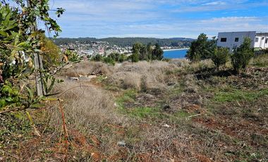 Terreno Construccion en Venta en DICHATO, Sector Villarrica Alto, Pasaje Pingueral
