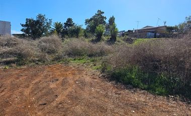 Terreno Construccion en Venta en DICHATO, Sector Villarrica Alto, Pasaje Pingueral