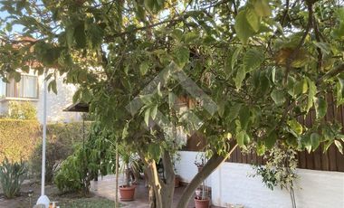 Casa en Venta en ROJAS MAGALLANES Y ENRIQUE OLIVARES