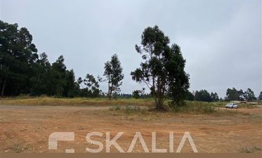 Sitio en Arriendo en camino a Coronel