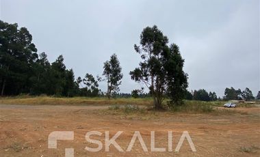 Sitio en Arriendo en camino a Coronel