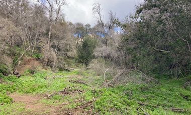 Parcela en Venta en Curacaví - Túnel Zapata