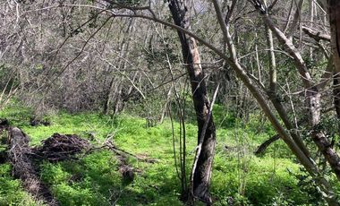 Parcela en Venta en Curacaví - Túnel Zapata
