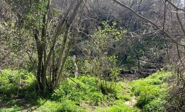 Parcela en Venta en Curacaví - Túnel Zapata