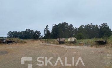 Terreno Construccion en Arriendo en camino a Coronel