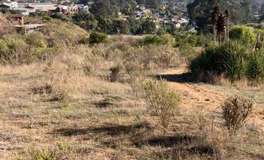 Sitio en Venta en Condominio Lomas de Zapallar