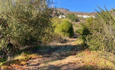 Sitio en Venta en Condominio Lomas de Zapallar