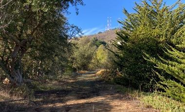 Sitio en Venta en Condominio Lomas de Zapallar