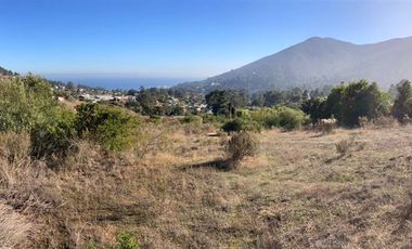 Sitio en Venta en Condominio Lomas de Zapallar
