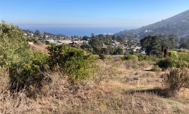 Sitio en Venta en Condominio Lomas de Zapallar