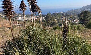 Sitio en Venta en Condominio Lomas de Zapallar
