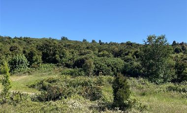 Sitio en Venta en Pelluco