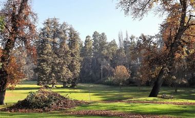 Sitio en Venta en La Cartuja - Mostazal