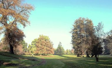 Sitio en Venta en La Cartuja - Mostazal