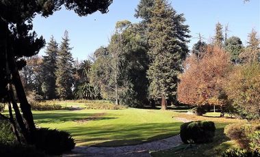 Sitio en Venta en La Cartuja - Mostazal