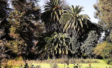 Sitio en Venta en La Cartuja - Mostazal