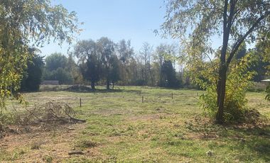 Sitio en Venta en Lomas de Nogales