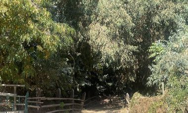 Sitio en Venta en Lomas de Nogales