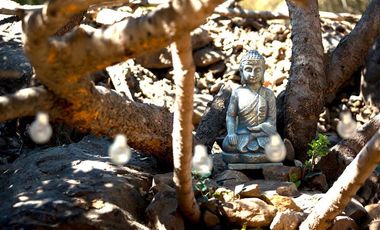 Casa en Venta en Álvaro Casanova/ Las Torres