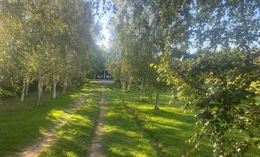 Casa en Venta en Las Mercedes, Requinoa