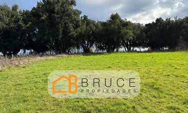 Parcela en Venta en Sector Llifen Río Calcurrupe Lago Ranco