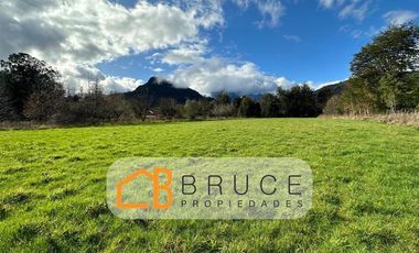 Parcela en Venta en Sector Llifen Río Calcurrupe Lago Ranco