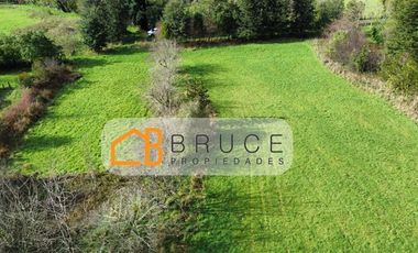 Parcela en Venta en Sector Llifen Río Calcurrupe Lago Ranco
