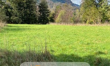 Parcela en Venta en Sector Llifen Río Calcurrupe Lago Ranco