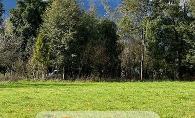 Parcela en Venta en Sector Llifen Río Calcurrupe Lago Ranco