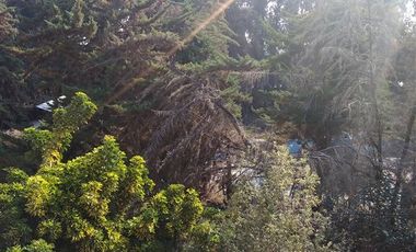 Casa en Venta en Quebrada de Macul