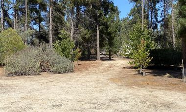Parcela en Venta en Valle del Estero, Catapilco