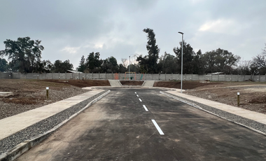 Sitio en Venta en Calle Cinco Oriente 161, Huertos Familiares