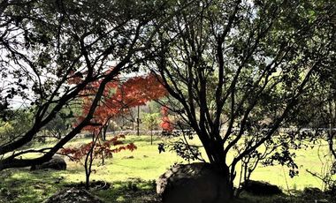 Parcela en Venta en Parcela Santa Sofía de Lo Cañas - La Florida