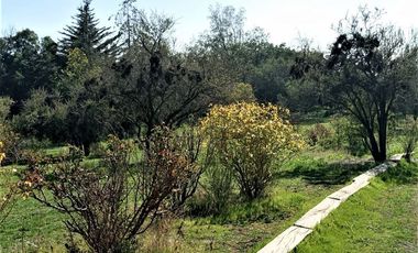 Parcela en Venta en Parcela Santa Sofía de Lo Cañas - La Florida