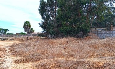 Sitio en Venta en Enrique Lihn