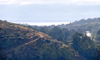 Sitio en Venta en Altavista