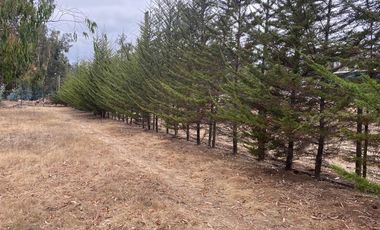 Parcela en Venta en Valle del Estero, Catapilco