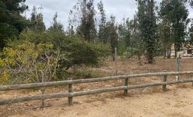 Parcela en Venta en Valle del Estero, Catapilco